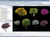 Tipologie alberi 3D