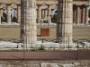 Tempio di Hera a Paestum