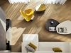 LARIX2