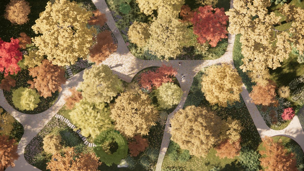 Gli alberi visti dall'alto del Giardino Botanico dei Sensi, a Cernusco sul Naviglio Gli alberi visti dall'alto del Giardino Botanico dei Sensi, a Cernusco sul Naviglio