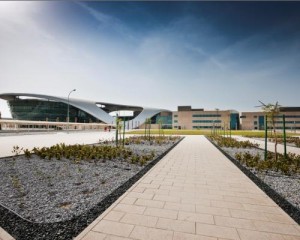 Nuova biblioteca dell’università Zayed