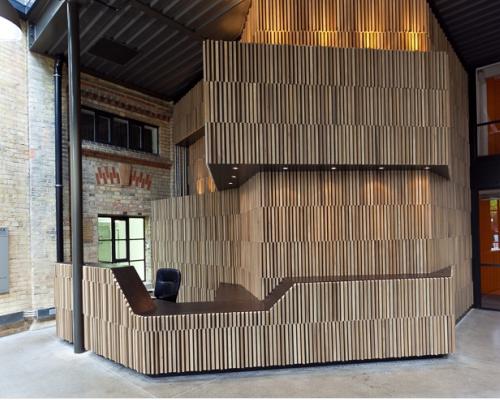 1 Legno di tulipier per la Phoenix Brewery di Londra