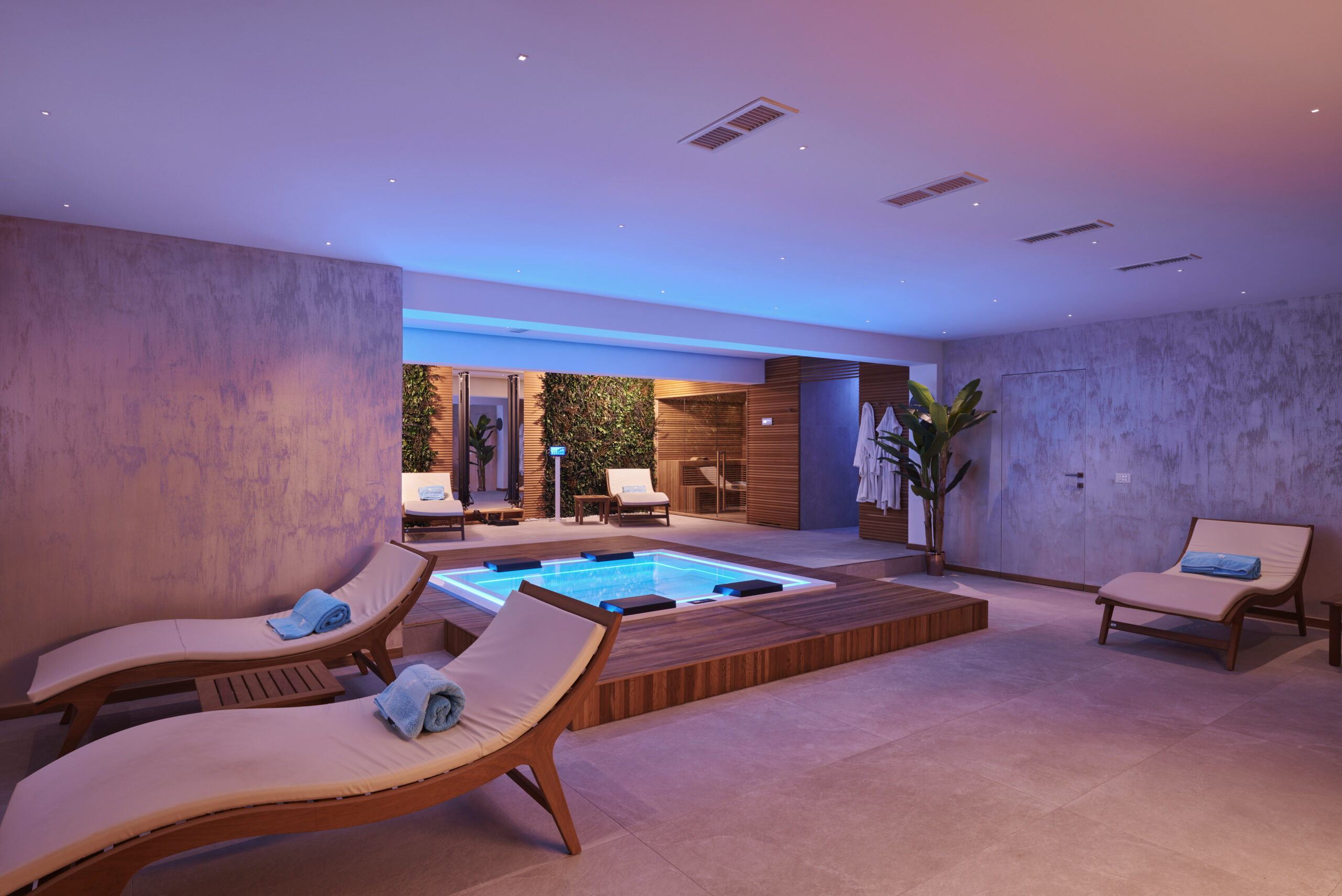 Dream House: la zona wellness