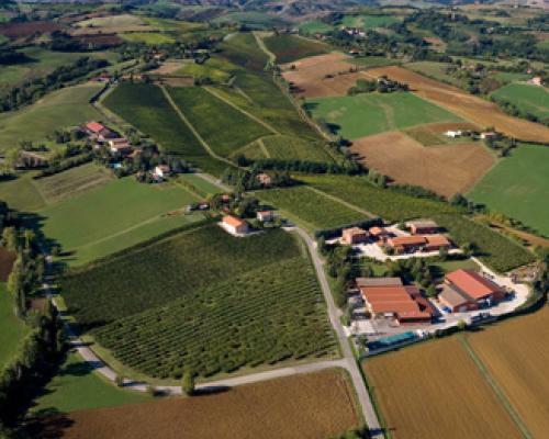 Nuova sede della azienda vitivinicola Umberto Cesari