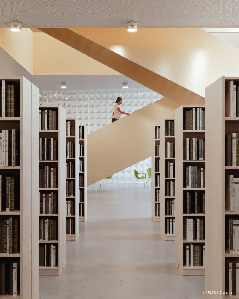 Biblioteca e scala di salita al piano superiore della nuova Università di alessandria Biblioteca e scala di salita al piano superiore della nuova Università di alessandria