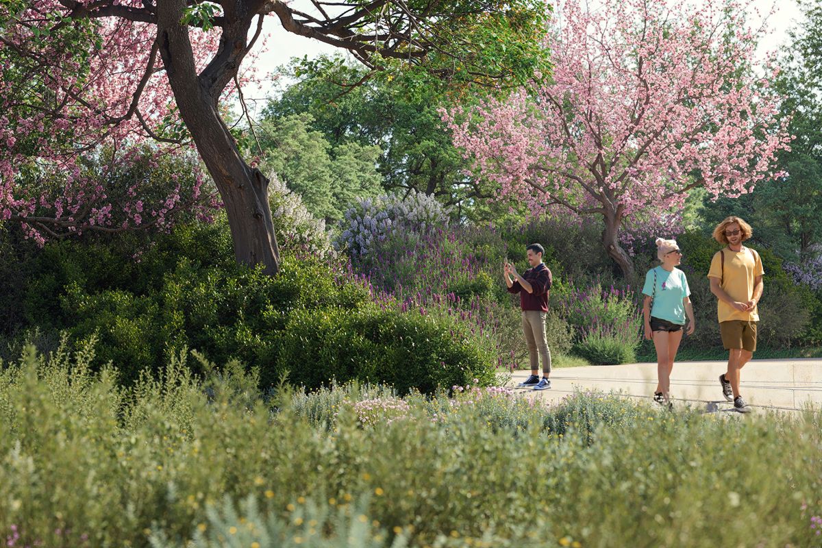 Il progetto della piazza-parco a Maglie prevede l’utilizzo di pietra locale, pavimentazioni drenanti e superfici semi-permeabili Il progetto della piazza-parco a Maglie prevede l’utilizzo di pietra locale, pavimentazioni drenanti e superfici semi-permeabili