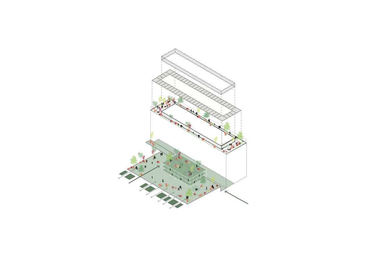 Un esploso dell’edificio Microsoft all'EUR con evidenziato il giardino pensile (credits, IT’S) Un esploso dell’edificio Microsoft all'EUR con evidenziato il giardino pensile (credits, IT’S)
