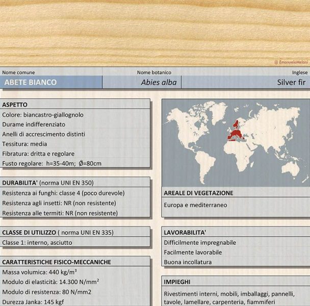 Caratteristiche dell'abete bianco, legno utilizzato in edilizia Caratteristiche dell'abete bianco, legno utilizzato in edilizia