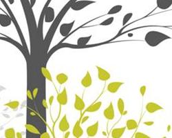 Edifici Multipiano in Legno