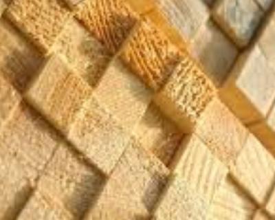 Le esportazioni di segati di latifoglie americane verso l’Europa crescono del 12%