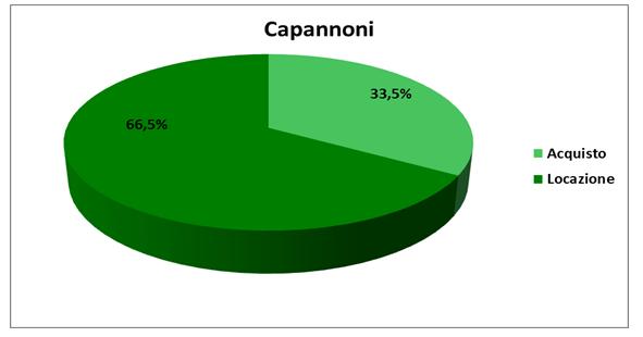 Capannoni