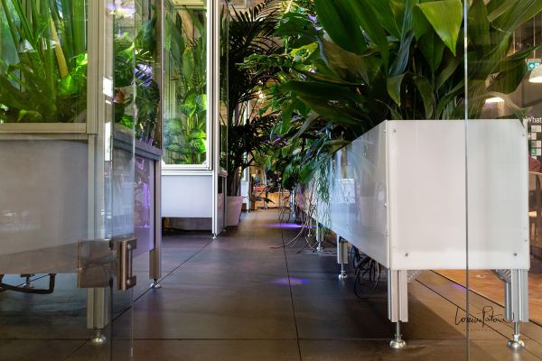 Fabbrica dell'Aria nella Manifattura Tabacchi a Firenze: Design e botanica insieme per ripulire l’aria in modo green