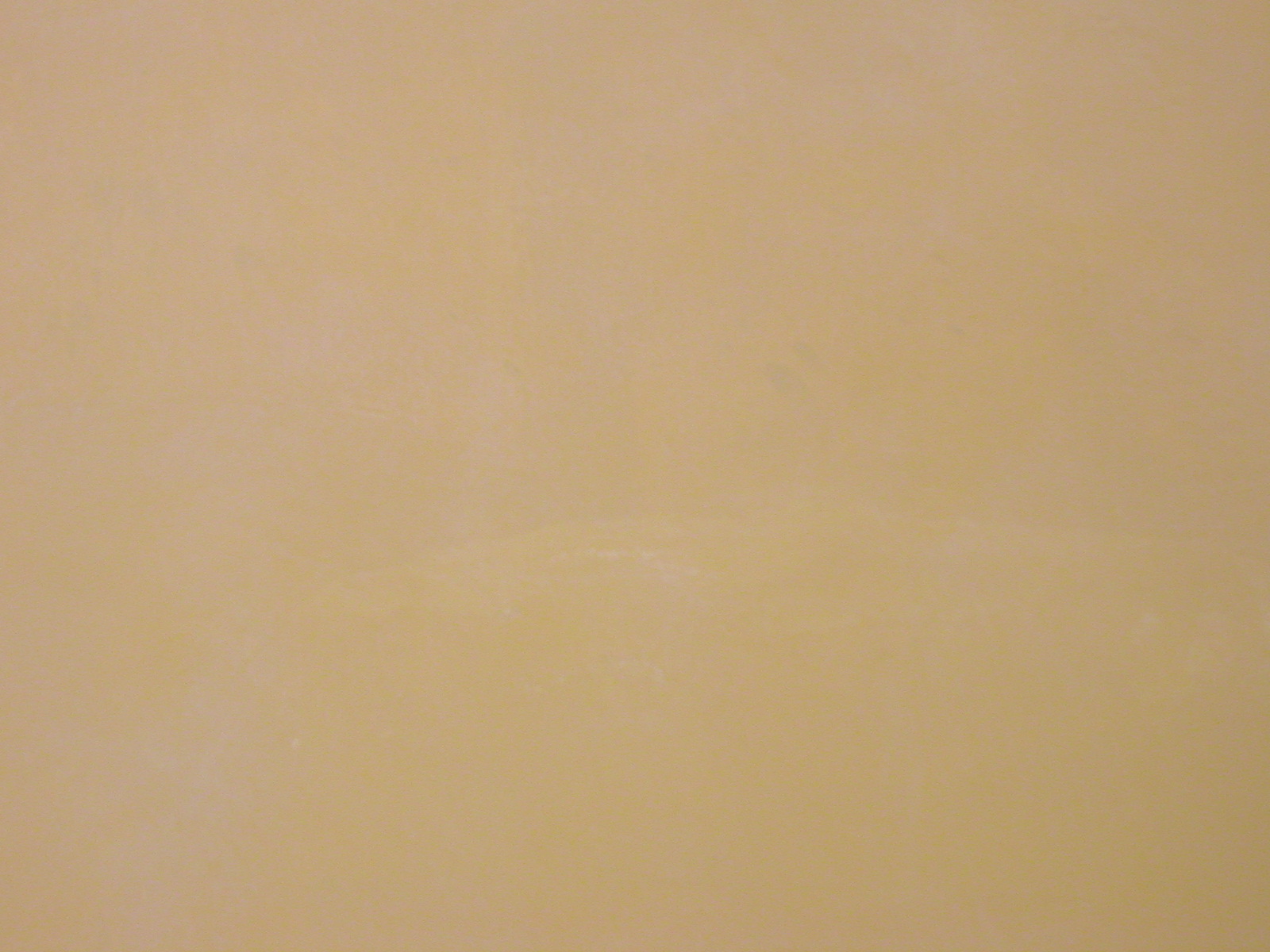 DSCN5349 Pitture per finitura a parete di ambienti di valore storico-architettonico