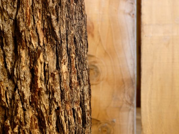 La casa preoccupata… e come renderla, al contrario, consapevolmente serena