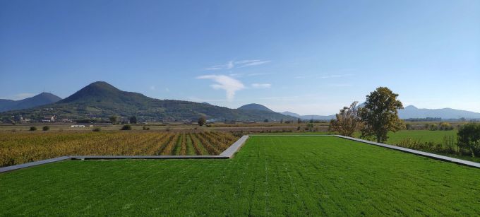 Daku Blue green Roof per la cantina dell'Azienda Agricola Nevio Scala