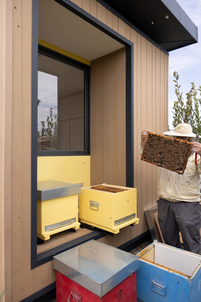 Hexa: Api, biodiversità e apiterapia. Il benessere entra nello spazio costruito Hexa: Api, biodiversità e apiterapia. Il benessere entra nello spazio costruito