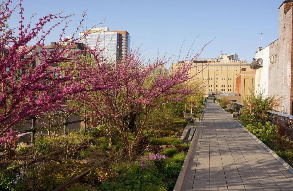 High Line a New York, il parco sorto su una vecchia ferrovia dismessa High Line a New York, il parco sorto su una vecchia ferrovia dismessa