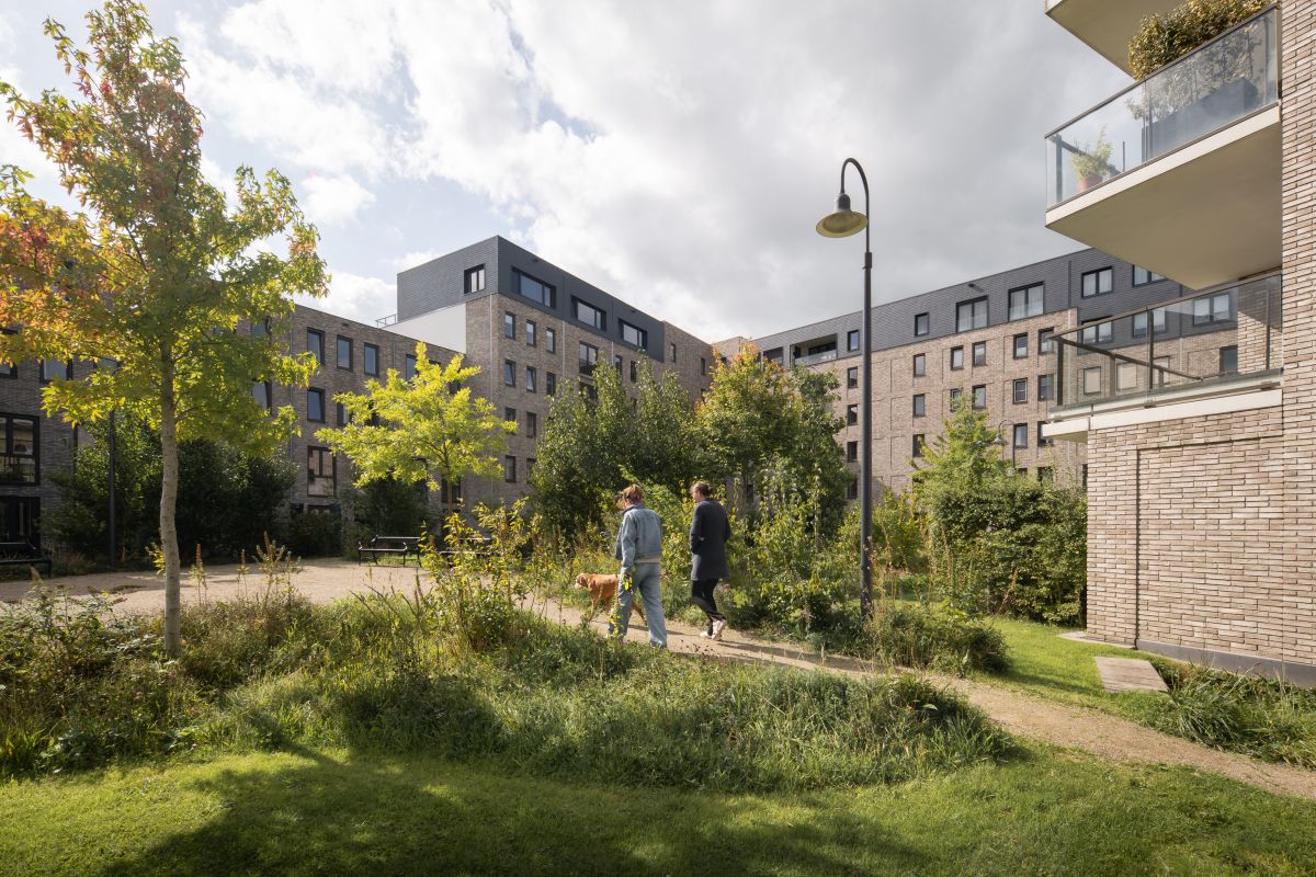 Il ruolo del cortile e del verde nel progetto Kade Noord a Zutphen, nei Paesi Bassi Il ruolo del cortile e del verde nel progetto Kade Noord a Zutphen, nei Paesi Bassi