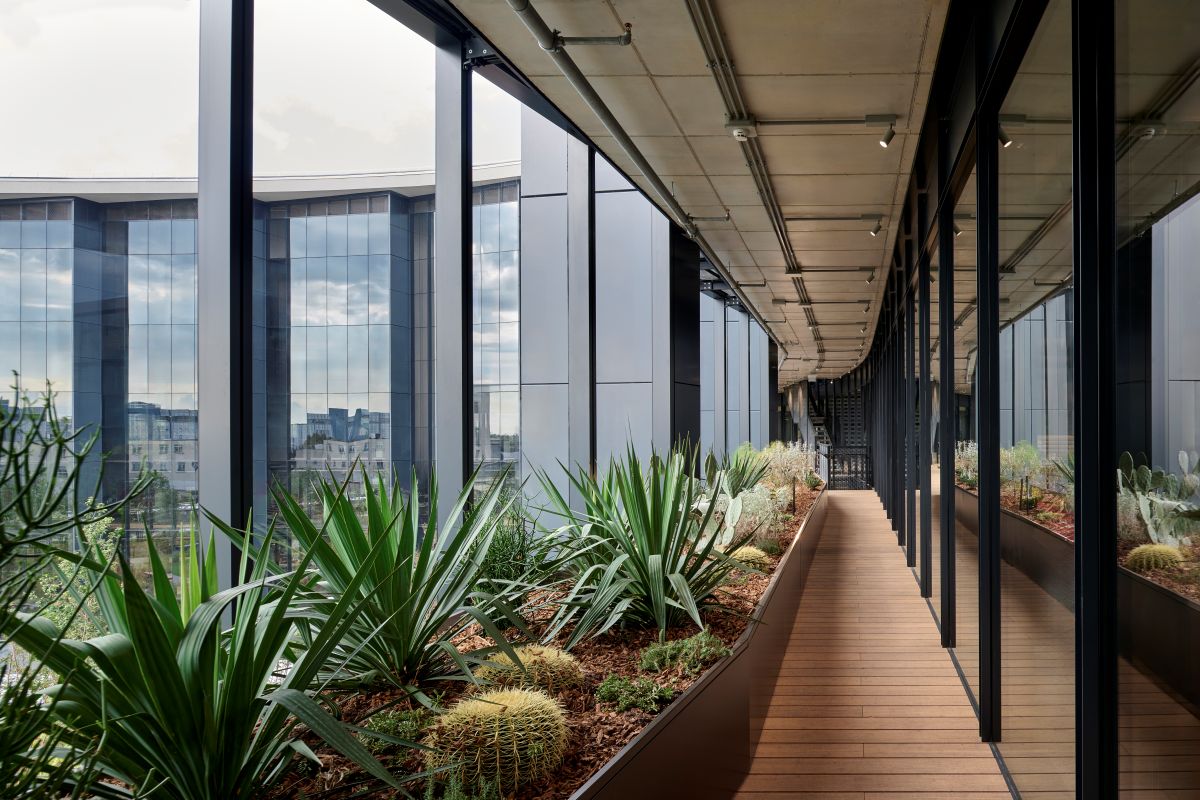 Attenzione al verde nella nuova sede Moncler a Milano