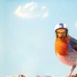 PILKINGTON AVISAFE™: VETRO PER LA PROTEZIONE DELL’AVIFAUNA