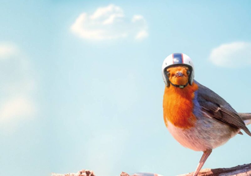 PILKINGTON AVISAFE™: VETRO PER LA PROTEZIONE DELL’AVIFAUNA