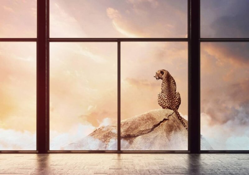 PILKINGTON MIRAI™: VETRO A BASSE EMISSIONI DI CARBONIO