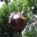 Origin – tree house: una architettura celata dalla natura