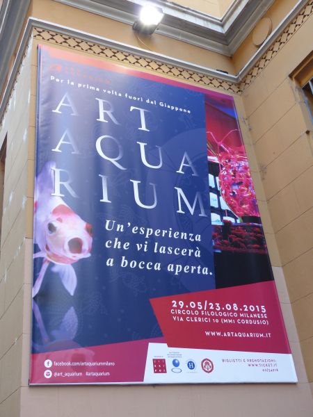Grande successo di pubblico all’inaugurazione di Art Aquarium a Milano per Expo 2015