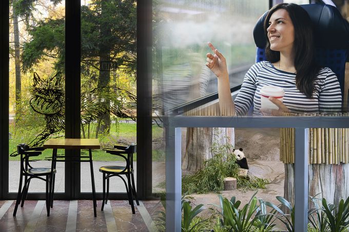 Pilkington SaniTise, il vetro antimicrobico