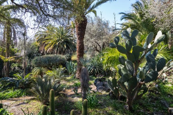 Parco Paternò del Toscano tra i finalisti dei 10 Parchi più belli 2019