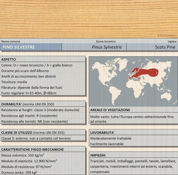 Caratteristiche del pino silvestre, legno utilizzato in edilizia Caratteristiche del pino silvestre, legno utilizzato in edilizia