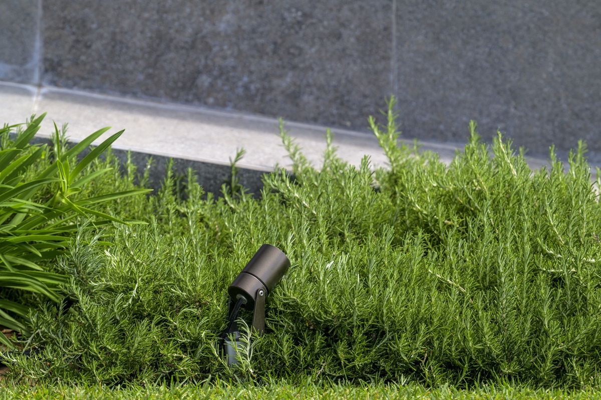 L’illuminazione delle zone piantumate