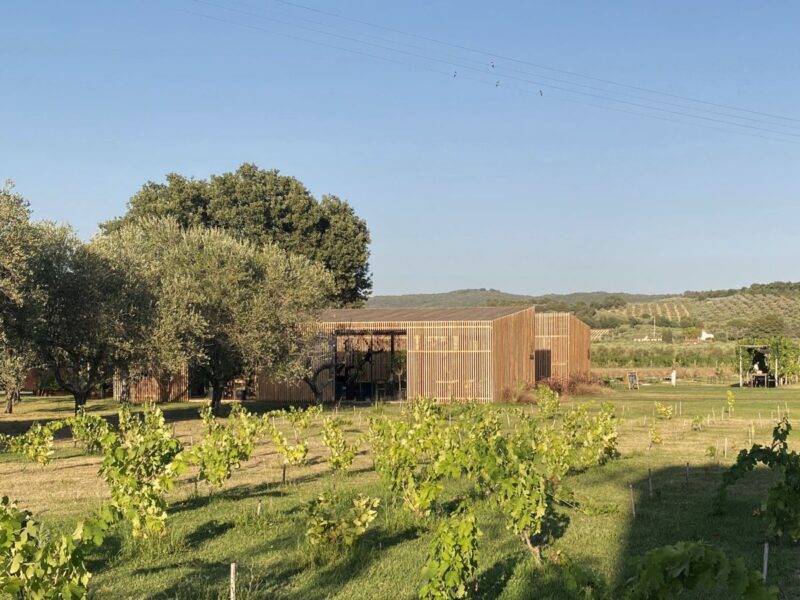 Podere Arduino, un progetto di hospitality sostenibile nel cuore di Bolgheri