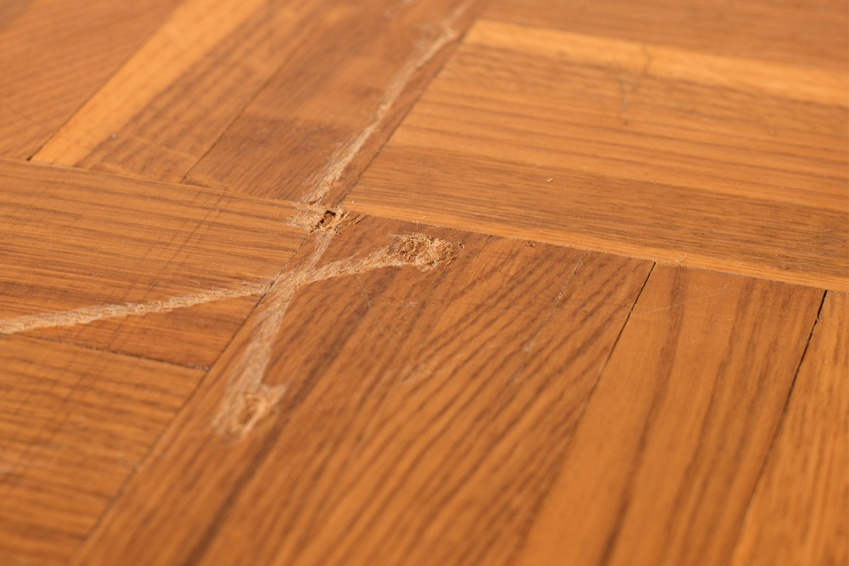 Riparazione del parquet come intervenire correttamente Riparazione del parquet come intervenire correttamente