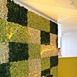 Studio Speri anima di verde l’headquarter di VIP CKH in Lussemburgo