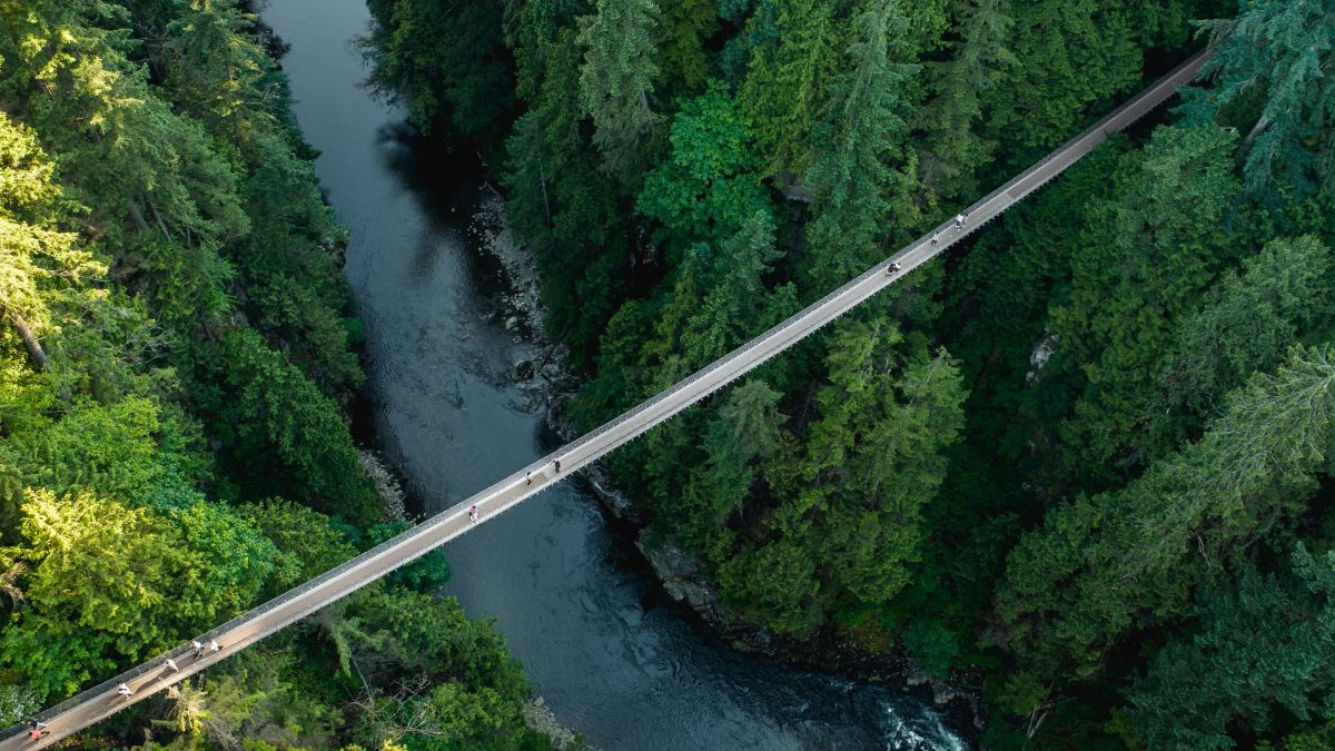 Capilano Suspension Bridge Park in Canada Capilano Suspension Bridge Park in Canada