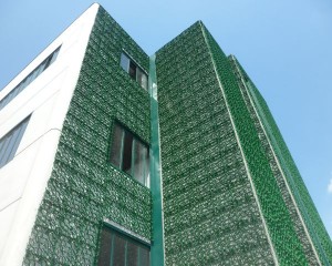 Un giardino verticale personalizza le facciate di Dacla