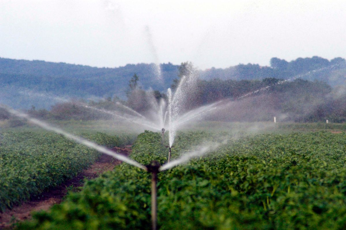 Agricoltura, scarichi urbani, opere idrauliche e prelievi: che cosa altera la qualità delle acque Agricoltura, scarichi urbani, opere idrauliche e prelievi: che cosa altera la qualità delle acque