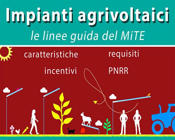 Sistemi agrivoltaici: requisiti e accesso agli incentivi del PNRR. Le linee guida del MiTE