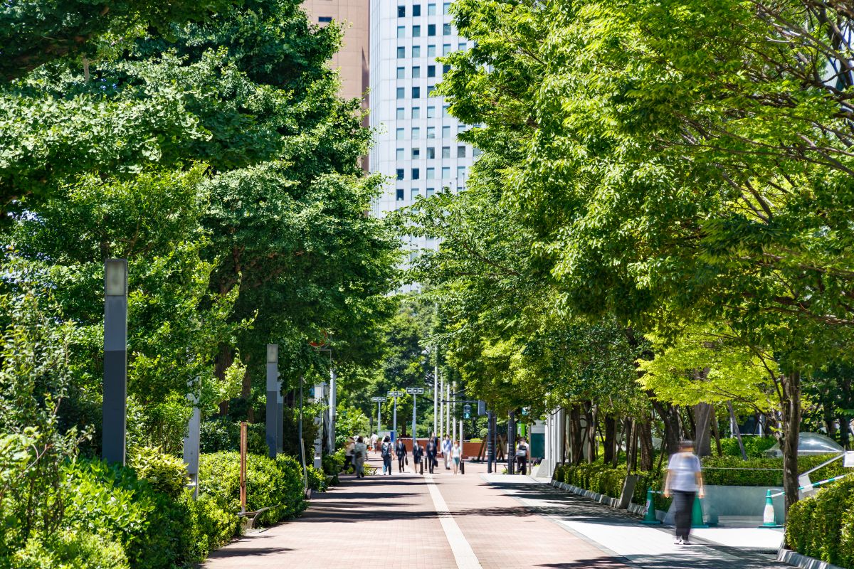 Perché il verde urbano è un climatizzatore naturale