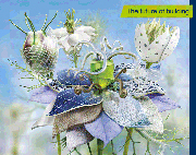 BAU 2015 The Future of Building, 19 – 24 gennaio, Monaco