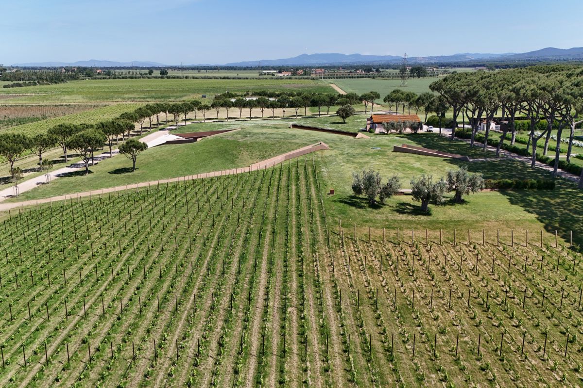 Cantina di Guado al Tasso a Castagneto Carducci tra i progetti vincitori del Premio dedalo minosse 2025