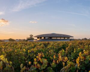 Le Dôme Winery: l’azienda vinicola dove il design si fonde con il paesaggio