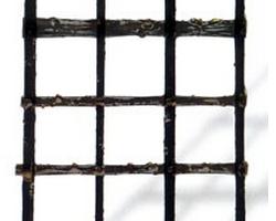 Rinforzo a base di carbonio