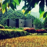 Duao Art Museum Ningbo, un ponte tra arte e natura