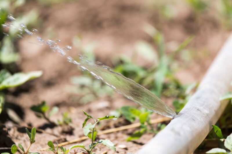 Decreto siccità: intervenire sulle perdite della rete, persi 157 lt al giorno di acqua per abitante
