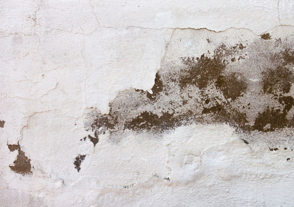 Umidità e infiltrazioni: analisi delle patologie edilizie Umidità e infiltrazioni: analisi delle patologie edilizie