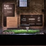 Ego to eco: una vera foresta in miniatura installata alla Biennale di Venezia
