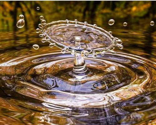 This is water, una riflessione di Alfonso Femia per la Giornata internazionale dell’Acqua
