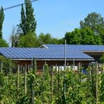 Fotovoltaico in agricoltura: perché oggi è il momento giusto